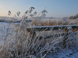 Raureif in Friesland