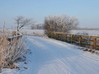 Raureif in Friesland