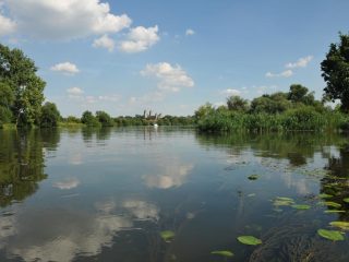 Main Kano Gezisi