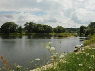 Idyllische Landschaft am Main