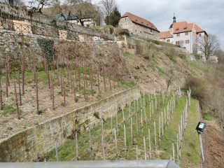 Dornburg - Castle and Garden