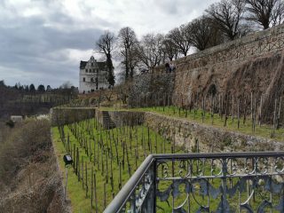 Dornburg - Castle and Garden