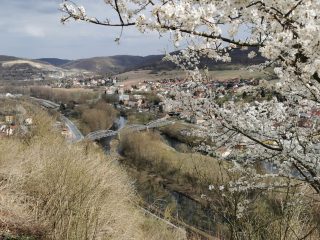 Dornburg - Castle and Garden