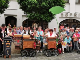 Barrel Organ Festival in Naumburg