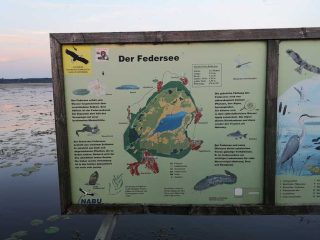 Auf dem Steg zum Federsee bei Bad Buchau