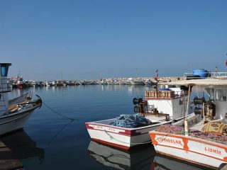 Frischer Fisch vom Markt in Güzelbahçe