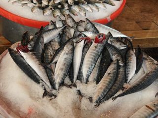 Frischer Fisch vom Markt in Güzelbahçe