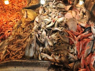 Frischer Fisch vom Markt in Güzelbahçe