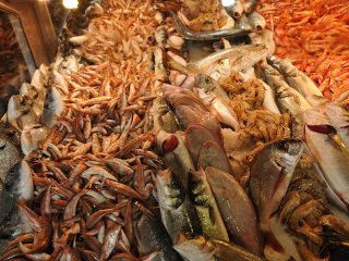 Frischer Fisch vom Markt in Güzelbahçe
