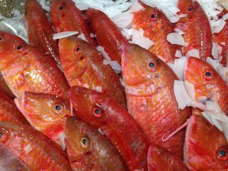 Frischer Fisch vom Markt in Güzelbahçe