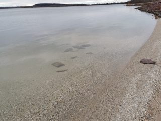 Geiseltalsee at Mücheln for Outdooractivities