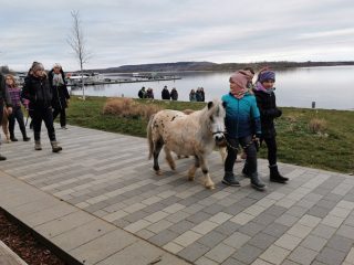 Geiseltalsee at Mücheln for Outdooractivities