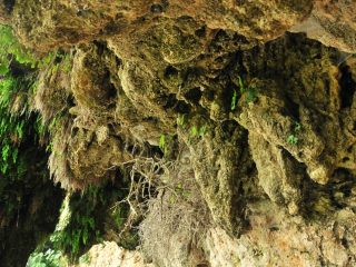 Edessa Wasserfall