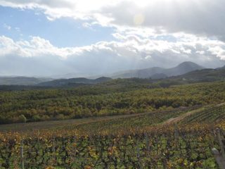 Naoussa Erkundungstour