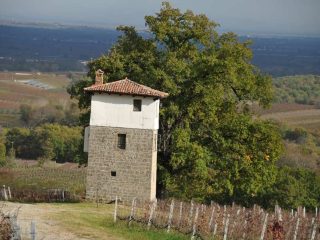 Naoussa Erkundungstour