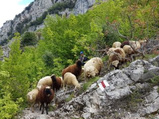 Wanderung zur Pellumbas Höhle bei Tirana