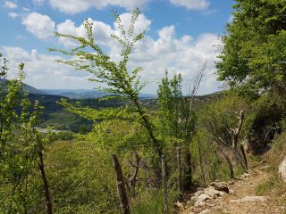 Wanderung zur Pellumbas Höhle bei Tirana