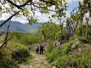 Wanderung zur Pellumbas Höhle bei Tirana
