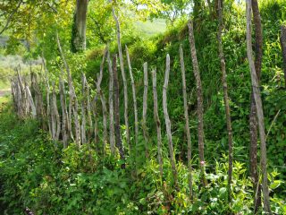 Wanderung zur Pellumbas Höhle bei Tirana