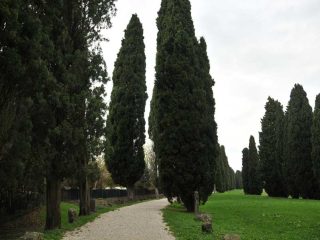 Aquileia Allee zum Hafen