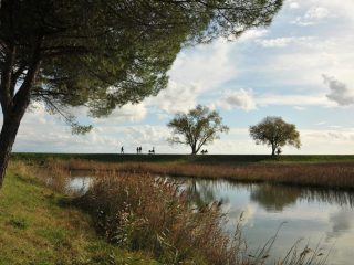 Fahrradtour zum Naturpark Foce dell`Isonzo
