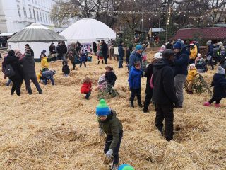 Wunderschöner Weihnachtsmarkt am Karlsplatz