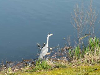 Hiking along Kemnader Lake at Witten