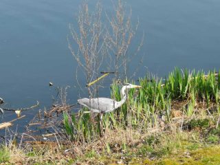 Hiking along Kemnader Lake at Witten