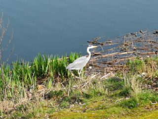 Hiking along Kemnader Lake at Witten