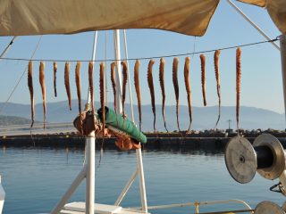 Lesbos - eine weitere Rundfahrt über die Insel