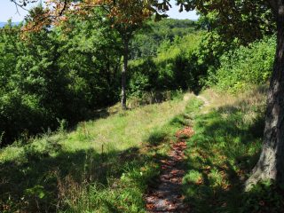 Hike to Leuchtenburg at Kahla / Jena