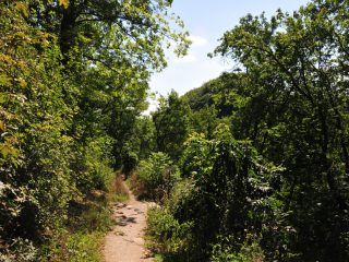 Hike to Leuchtenburg at Kahla / Jena