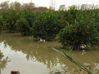High Tide at Manavgat River due to heavy rain