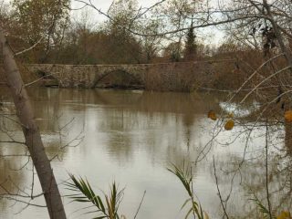 High Tide at Manavgat River due to heavy rain