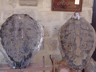 Museum Mevli Tekke at Nicosia