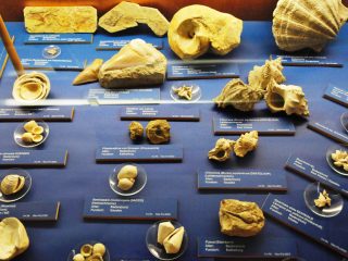 Das Museum von Mödling - Besuch mit Robert