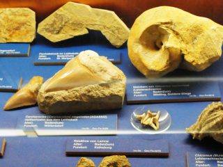 Das Museum von Mödling - Besuch mit Robert