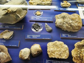Das Museum von Mödling - Besuch mit Robert