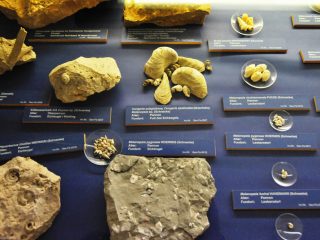 Das Museum von Mödling - Besuch mit Robert