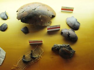 Das Museum von Mödling - Besuch mit Robert
