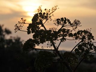 Northern Cyprus Impressions