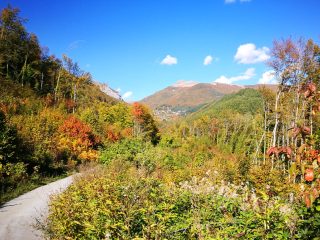 Herbstliche Wanderung am Jablanica Gebirge