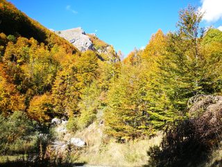 Herbstliche Wanderung am Jablanica Gebirge