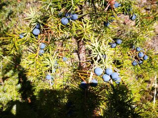 Herbstliche Wanderung am Jablanica Gebirge
