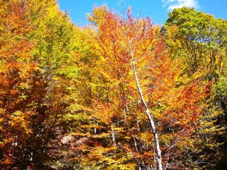 Herbstliche Wanderung am Jablanica Gebirge