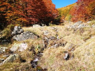 Herbstliche Wanderung am Jablanica Gebirge