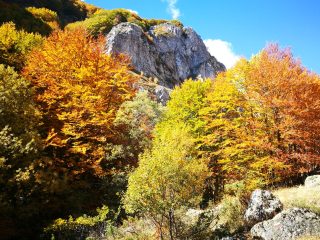 Herbstliche Wanderung am Jablanica Gebirge