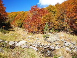 Herbstliche Wanderung am Jablanica Gebirge