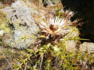 Herbstliche Wanderung am Jablanica Gebirge