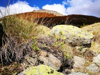 Herbstliche Wanderung am Jablanica Gebirge